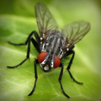 /album/%e5%a4%a7%e6%b3%a8%e7%9b%ae%e3%82%b7%e3%83%81%e3%82%ba%e3%83%b3-%e8%85%95%e6%99%82%e8%a8%88/photolia-a01-jpg/