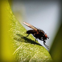 /album/%e5%a4%a7%e6%b3%a8%e7%9b%ae%e3%82%b7%e3%83%81%e3%82%ba%e3%83%b3-%e8%85%95%e6%99%82%e8%a8%88/photolia-a04-jpg/