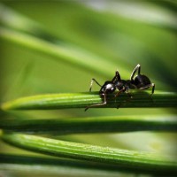 /album/%e5%a4%a7%e6%b3%a8%e7%9b%ae%e3%82%b7%e3%83%81%e3%82%ba%e3%83%b3-%e8%85%95%e6%99%82%e8%a8%88/photolia-a05-jpg/