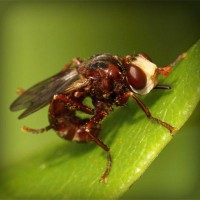 /album/%e5%a4%a7%e6%b3%a8%e7%9b%ae%e3%82%b7%e3%83%81%e3%82%ba%e3%83%b3-%e8%85%95%e6%99%82%e8%a8%88/photolia-a06-jpg/