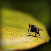 /album/%e5%a4%a7%e6%b3%a8%e7%9b%ae%e3%82%b7%e3%83%81%e3%82%ba%e3%83%b3-%e8%85%95%e6%99%82%e8%a8%88/photolia-a07-jpg/